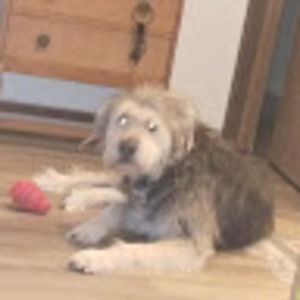 Meet your Posher, Ayla